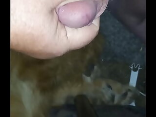 Smallish dick