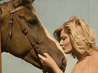 Dark Lantern Relaxation presents 'Beauty And The Beast'