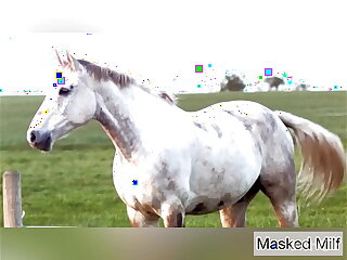 Horny Milf takes massive horse pipe dildo compilation &vert; Masked Milf